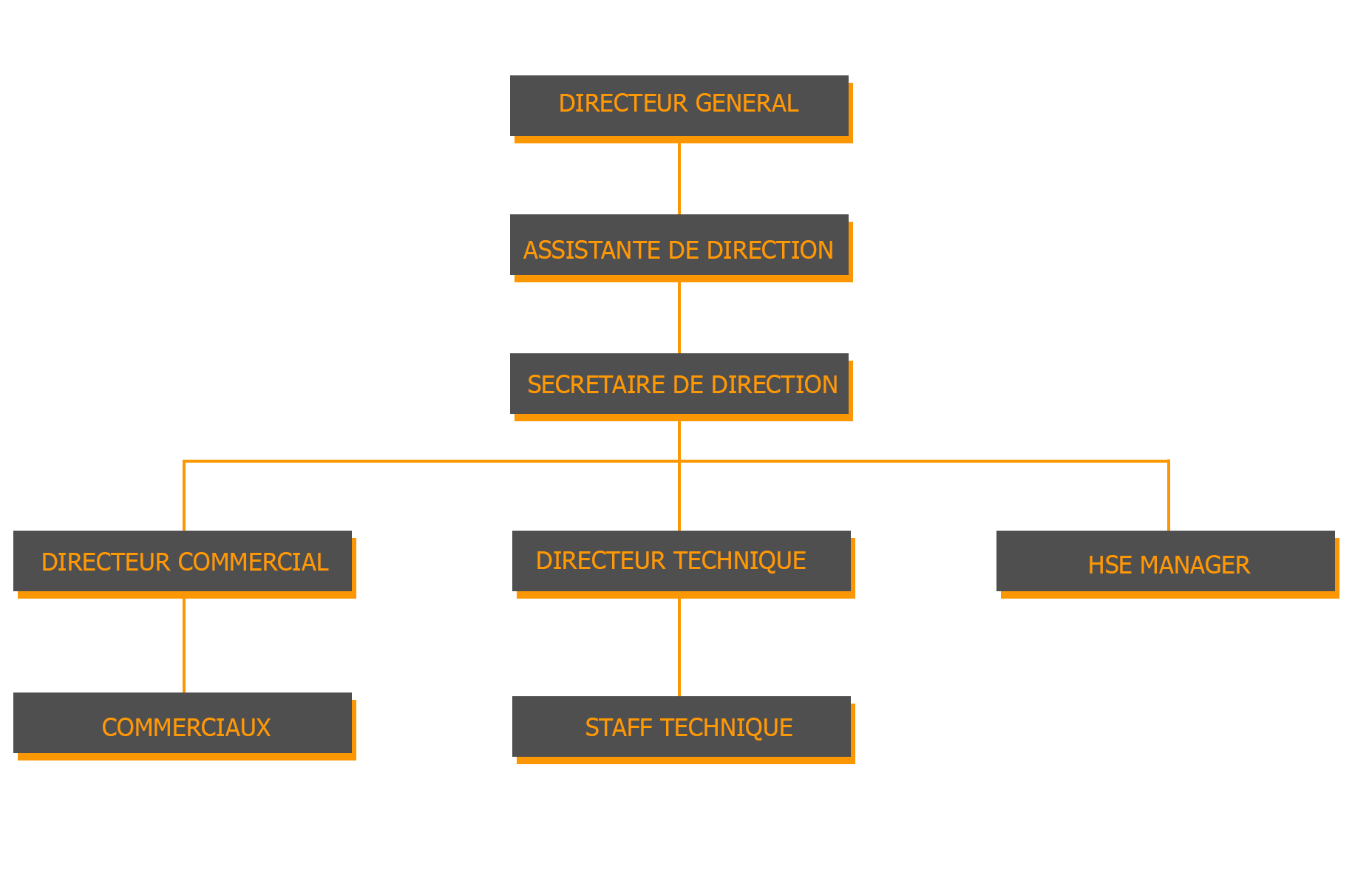 organigramme_SUHolding